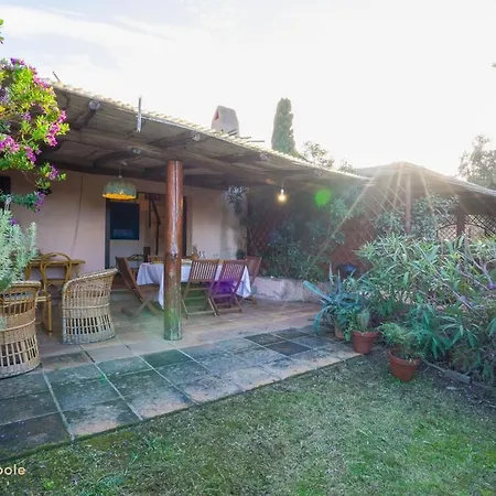Casa vacanze Cervo House, Piscina E Giardino *